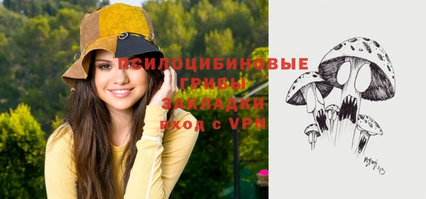 прущие грибы Алексеевка