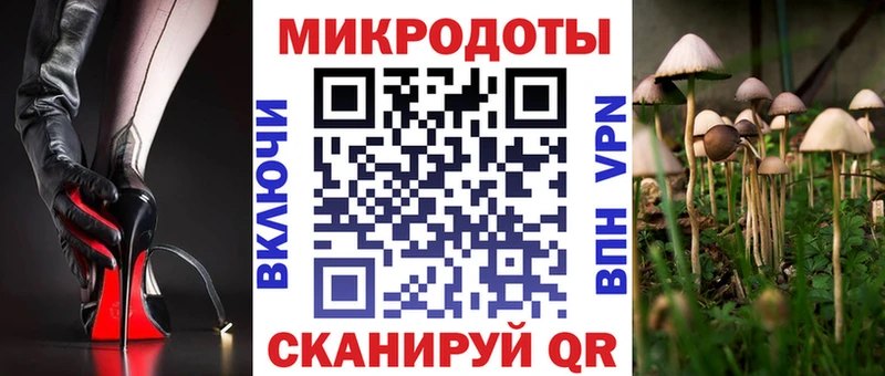 Псилоцибиновые грибы GOLDEN TEACHER  Егорьевск 